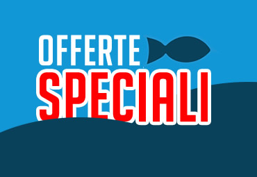 Scopri le nostre offerte