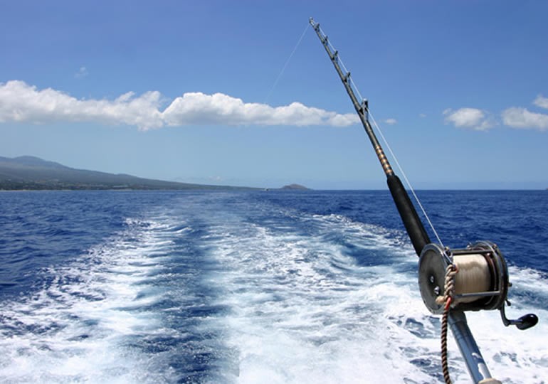 Canna da pesca in mare, vista dalla barca